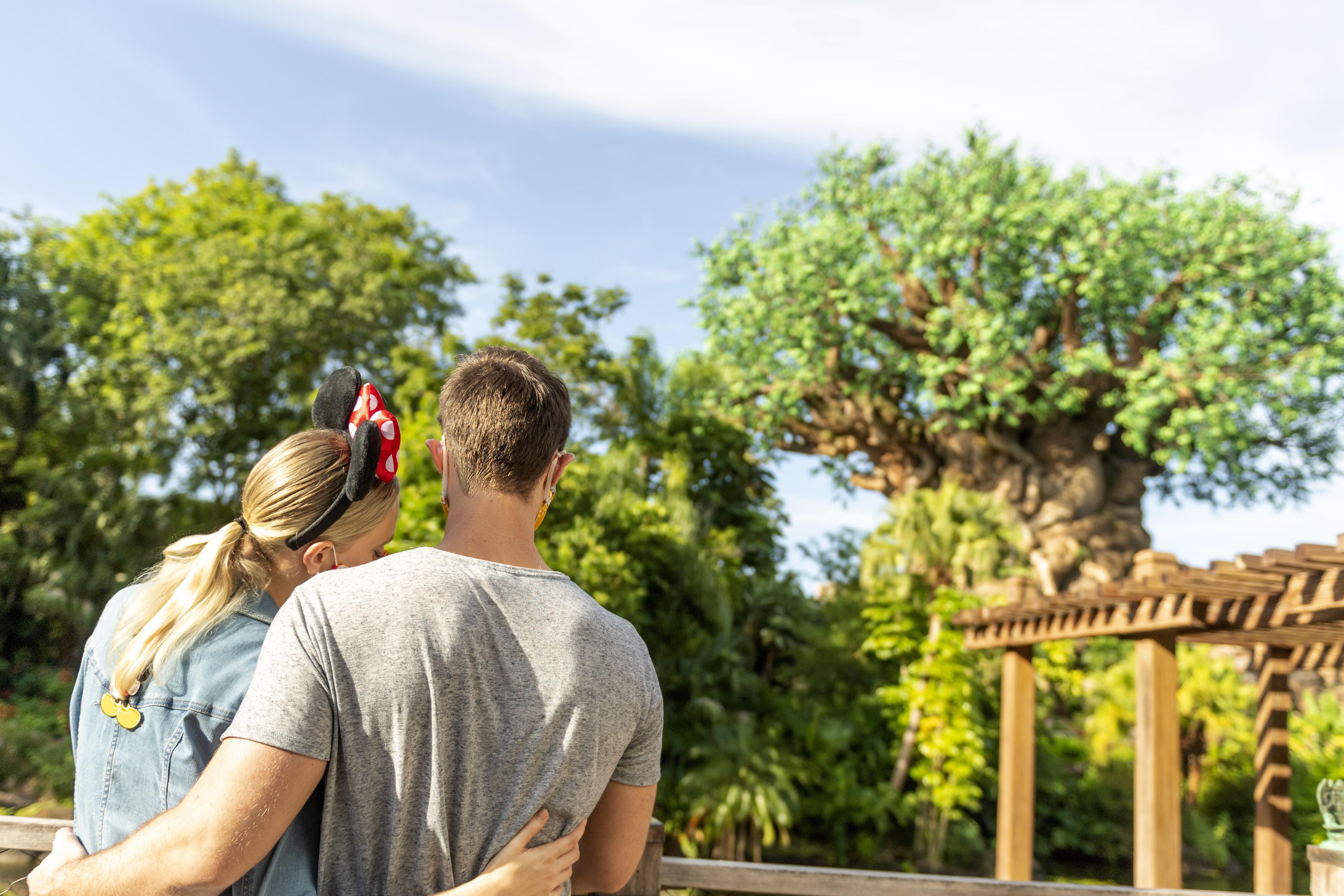 Disney'S Animal Kingdom Lodge Four Corners Екстериор снимка