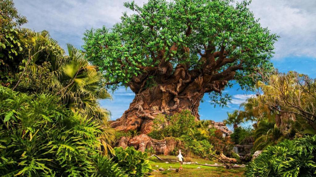 Disney'S Animal Kingdom Lodge Four Corners Екстериор снимка