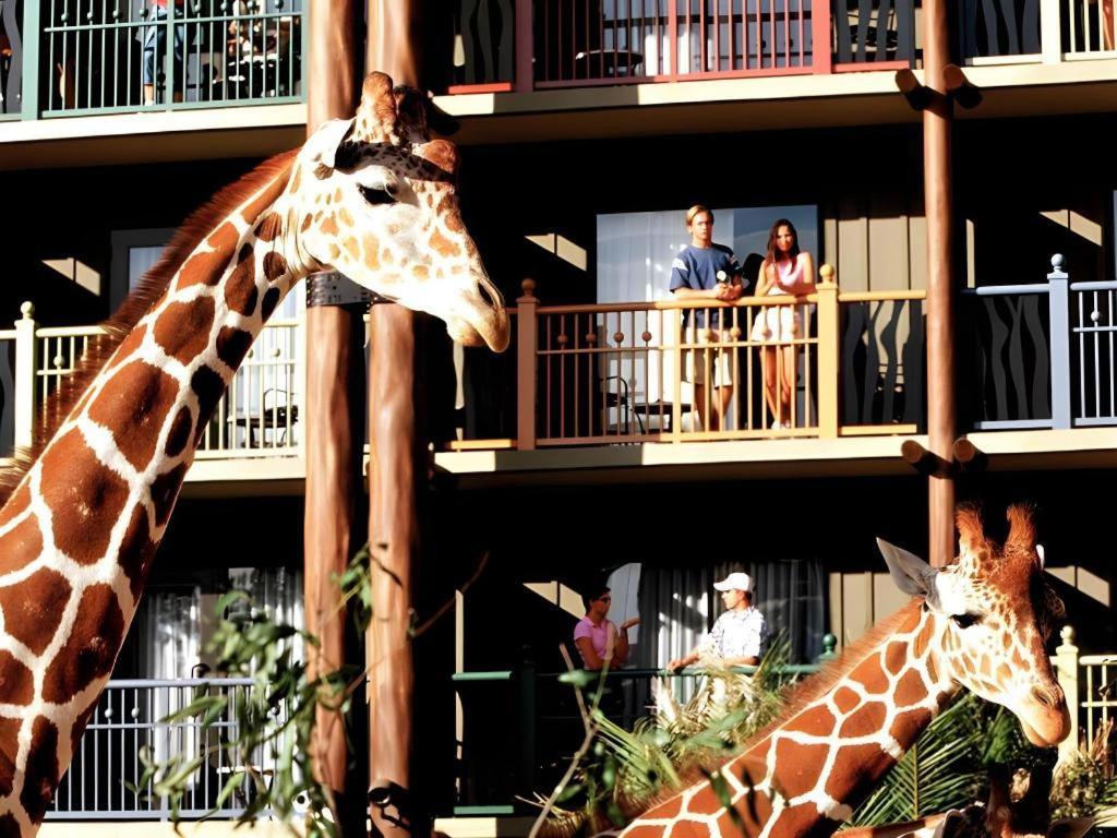 Disney'S Animal Kingdom Lodge Four Corners Екстериор снимка
