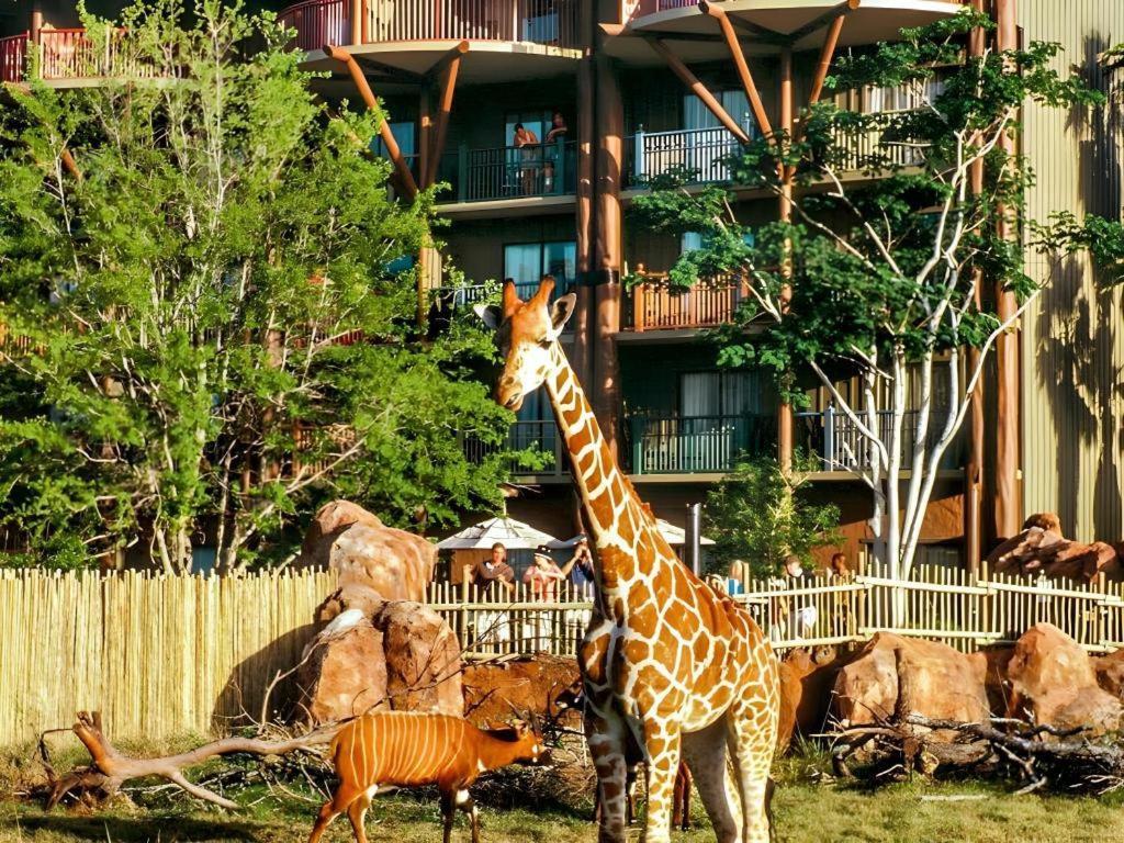 Disney'S Animal Kingdom Lodge Four Corners Екстериор снимка
