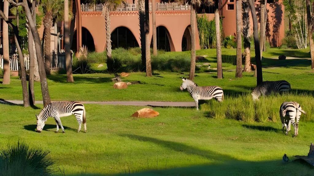 Disney'S Animal Kingdom Lodge Four Corners Екстериор снимка